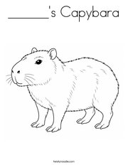 ______'s Capybara Coloring Page