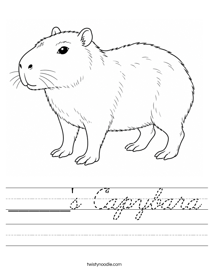 ______'s Capybara Worksheet
