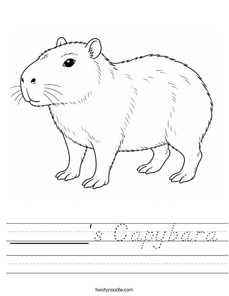 ______'s Capybara Worksheet