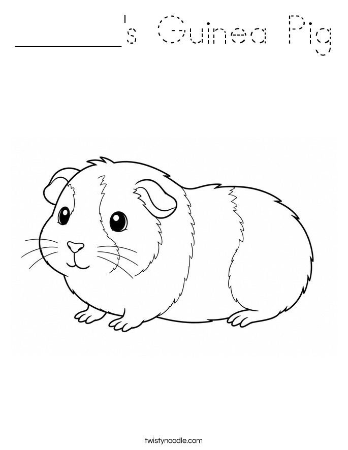 ______'s Guinea Pig Coloring Page