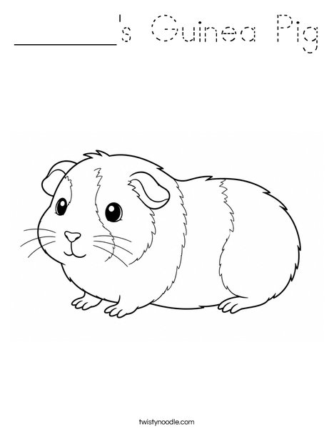 ______'s Guinea Pig Coloring Page