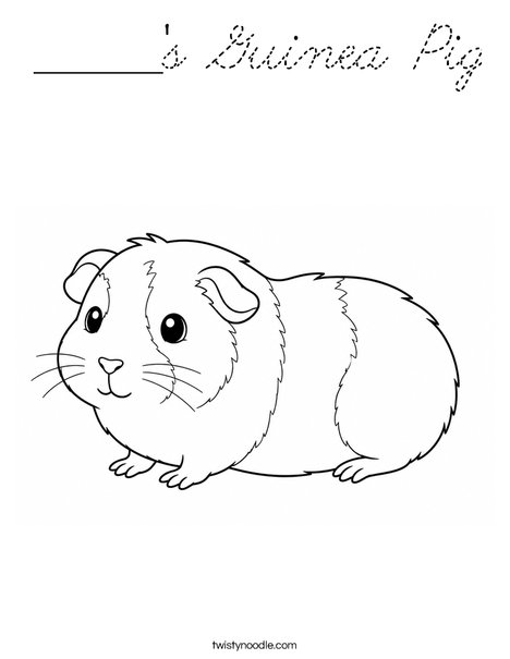 ______'s Guinea Pig Coloring Page