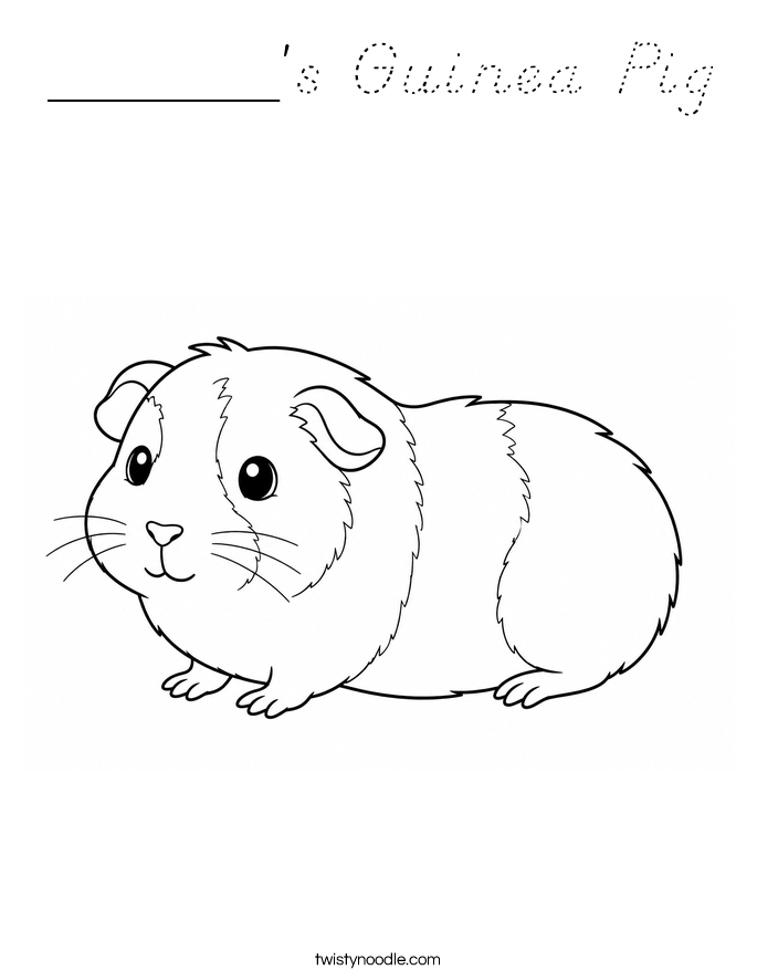 ______'s Guinea Pig Coloring Page