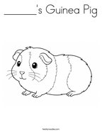 ______'s Guinea Pig Coloring Page
