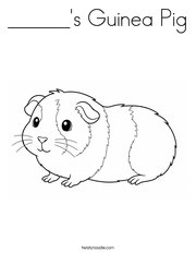 ______'s Guinea Pig Coloring Page