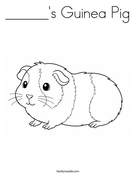 ______'s Guinea Pig Coloring Page