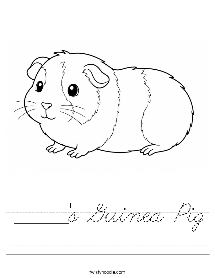 ______'s Guinea Pig Worksheet