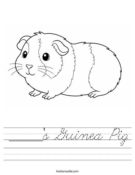 ______'s Guinea Pig Worksheet