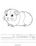 ______'s Guinea Pig Worksheet