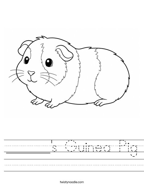 ______'s Guinea Pig Worksheet