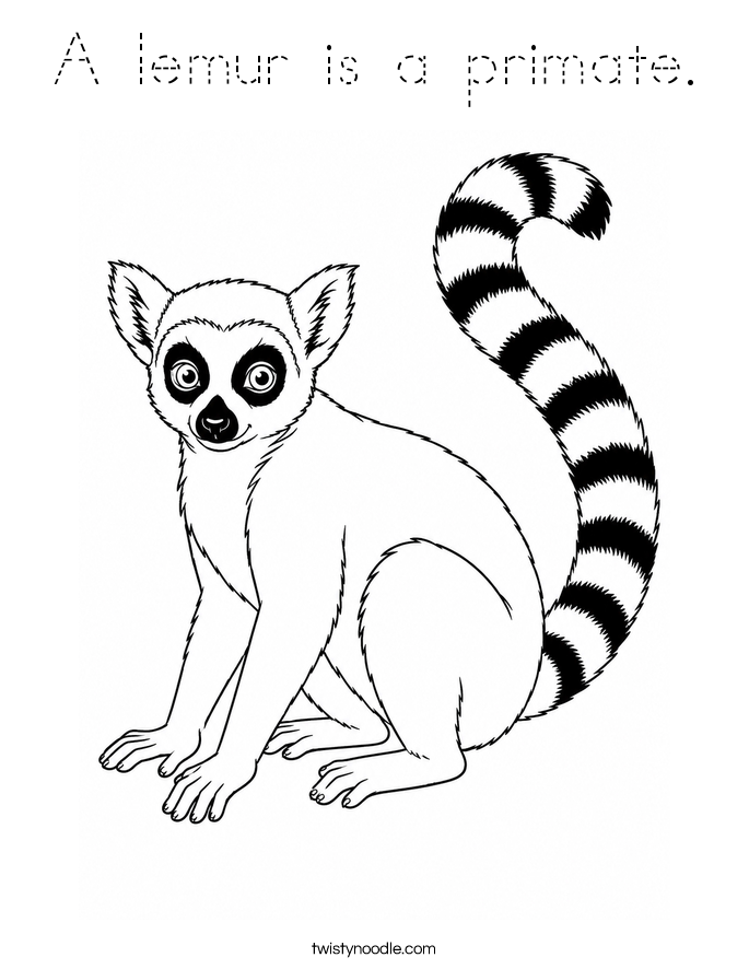 A lemur is a primate. Coloring Page
