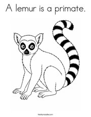 A lemur is a primate Coloring Page