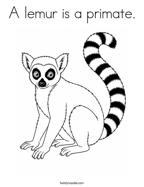 ______'s Lemur Coloring Page