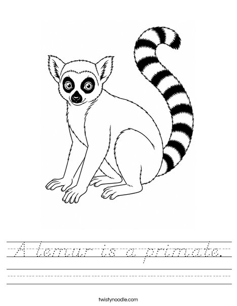 ______'s Lemur Worksheet