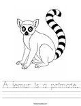 A lemur is a primate. Worksheet