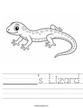 ______'s Lizard Worksheet
