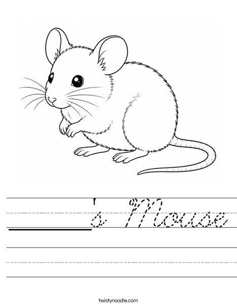 ______'s Mouse Worksheet