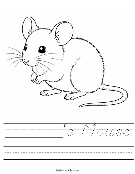 ______'s Mouse Worksheet
