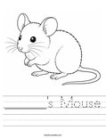 ______'s Mouse Worksheet