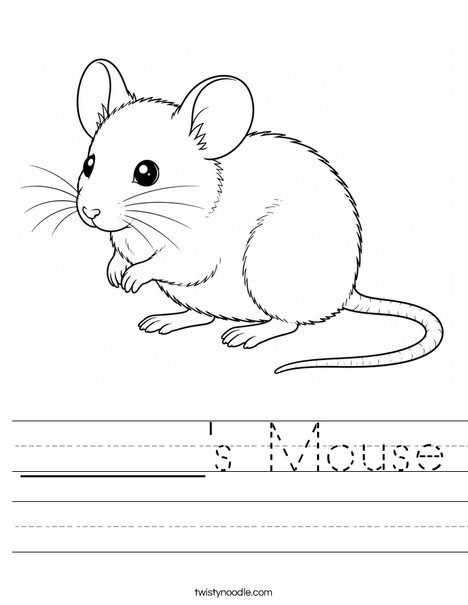 ______'s Mouse Worksheet