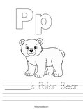 ______'s Polar Bear Worksheet