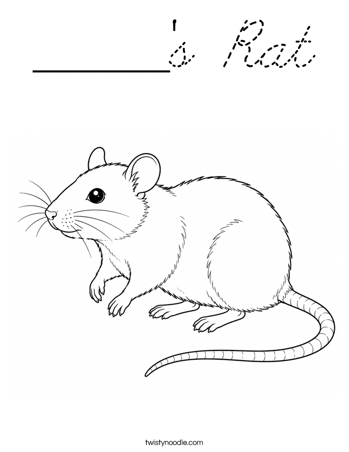  Coloring Page