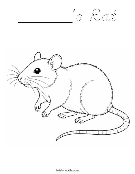 ______'s Rat Coloring Page
