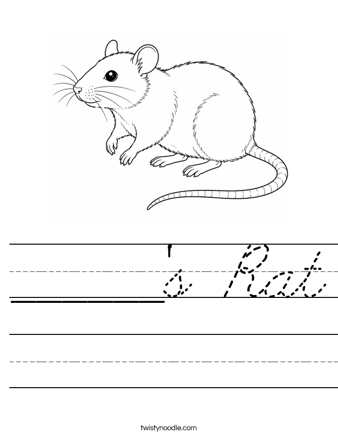 ______'s Rat Worksheet