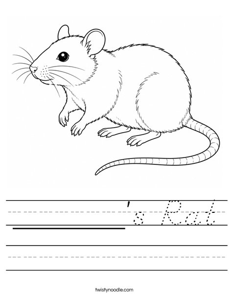 ______'s Rat Worksheet