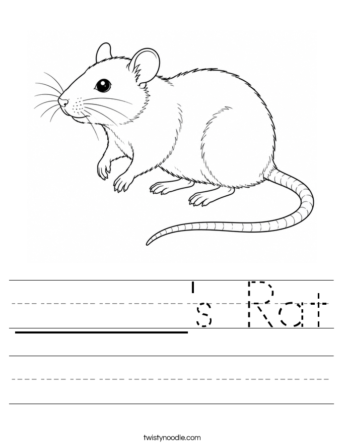 ______'s Rat Worksheet