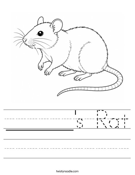 ______'s Rat Worksheet