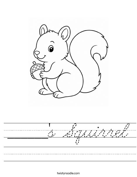 ______'s Squirrel Worksheet