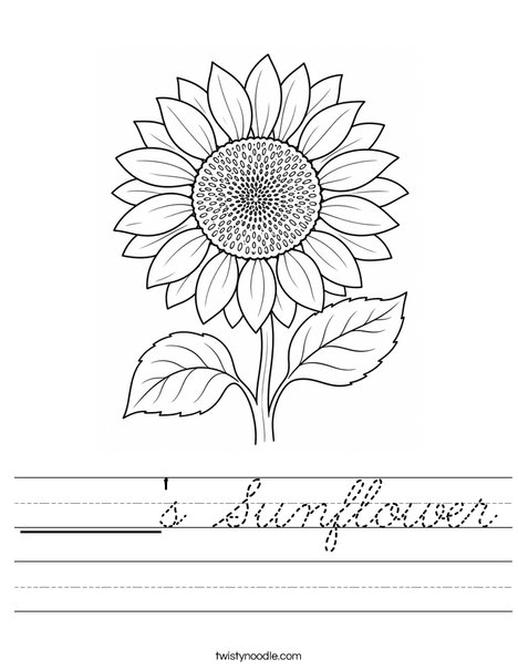 ______'s Sunflower Worksheet
