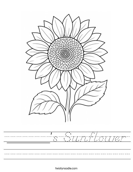 ______'s Sunflower Worksheet