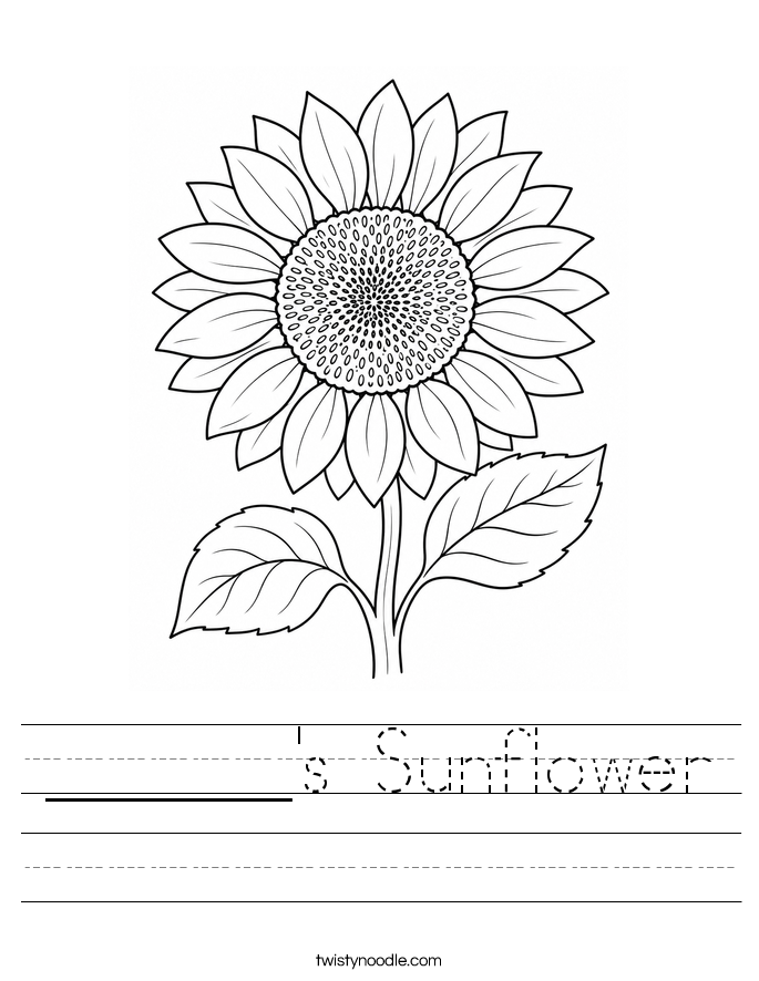 ______'s Sunflower Worksheet