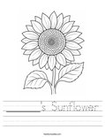______'s Sunflower Worksheet