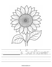 ______'s Sunflower Handwriting Sheet