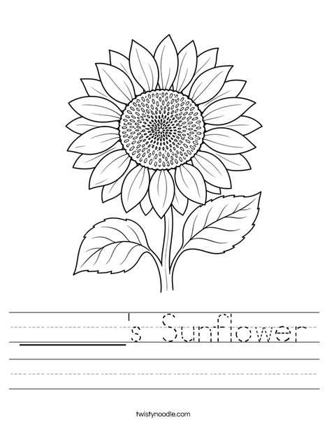 ______'s Sunflower Worksheet