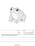 ______'s Toad Worksheet