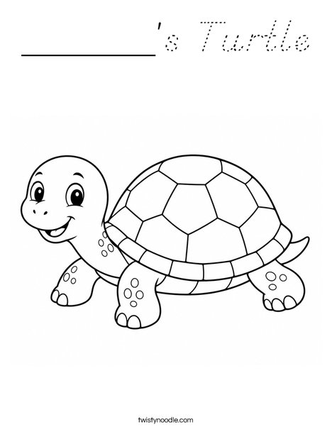 ______'s Turtle Coloring Page