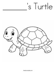 ______'s Turtle Coloring Page