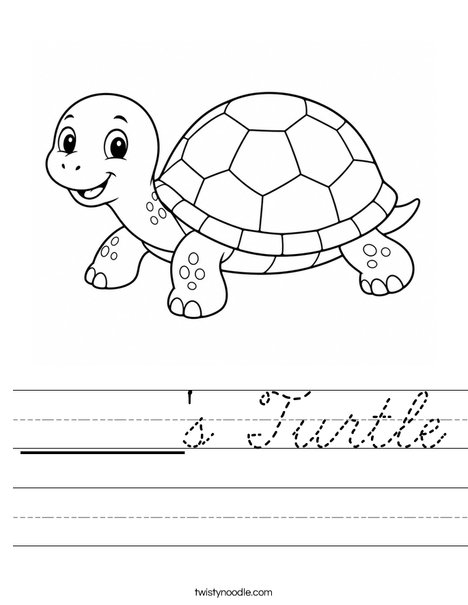 ______'s Turtle Worksheet