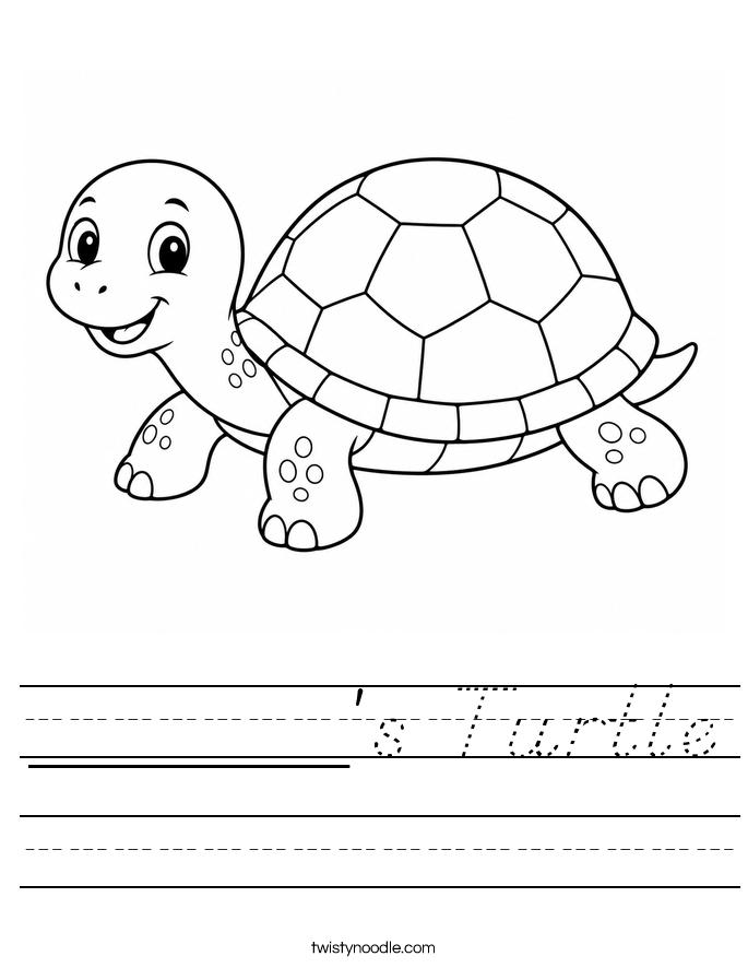 ______'s Turtle Worksheet