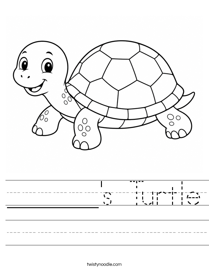 ______'s Turtle Worksheet