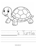 ______'s Turtle Worksheet
