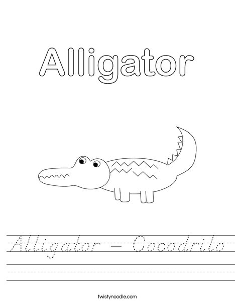 Alligator Worksheet