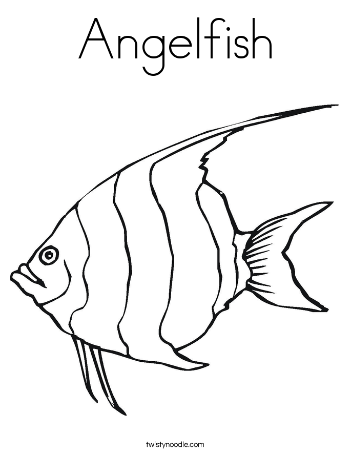 Angelfish Coloring Page Twisty Noodle