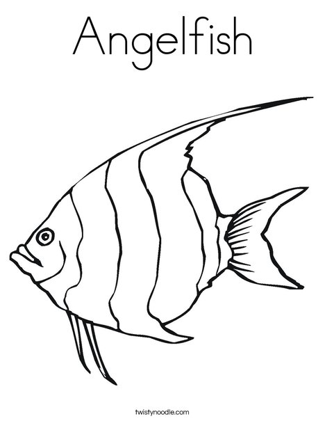 Angelfish Coloring Page