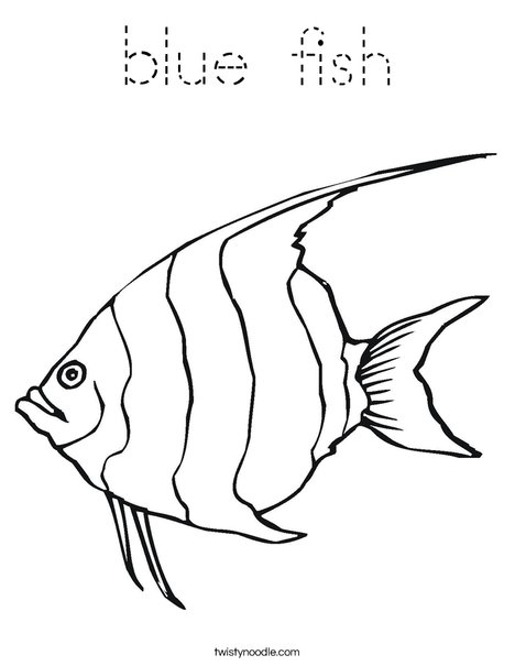 Angelfish Coloring Page