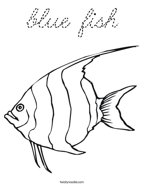Angelfish Coloring Page